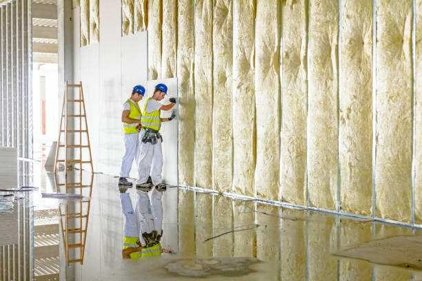 Best Insulation for Metal Buildings  in Macon, MO